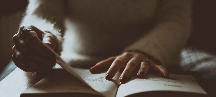 德國KNAUER全產品目錄